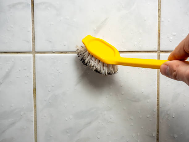 Best Mold Testing  in Kirkland, IL