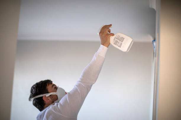 Best Professional Mold Removal  in Kirkland, IL