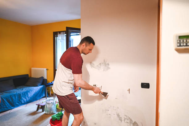 Best Toxic Mold Removal  in Kirkland, IL
